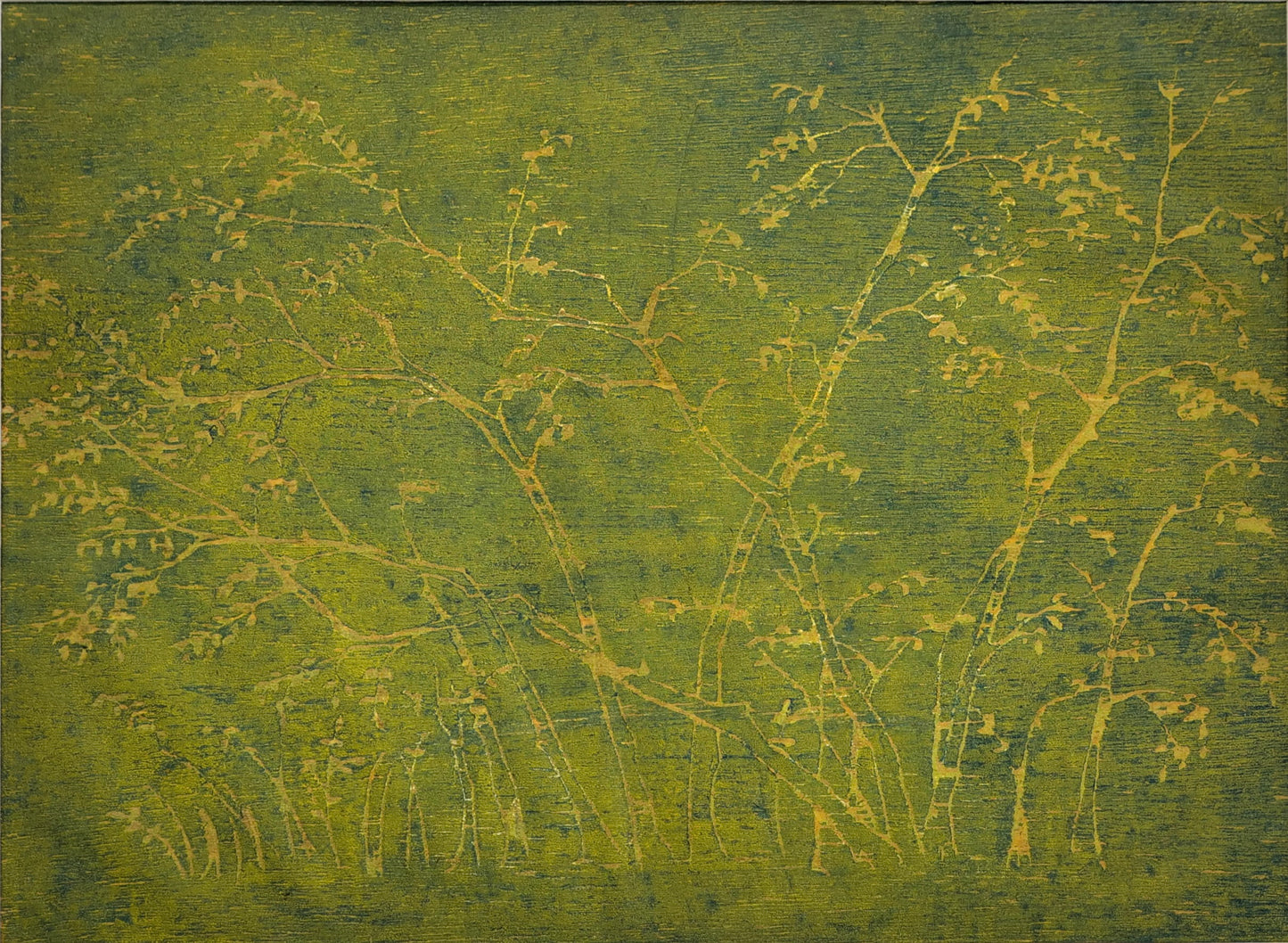 Forêt 2019