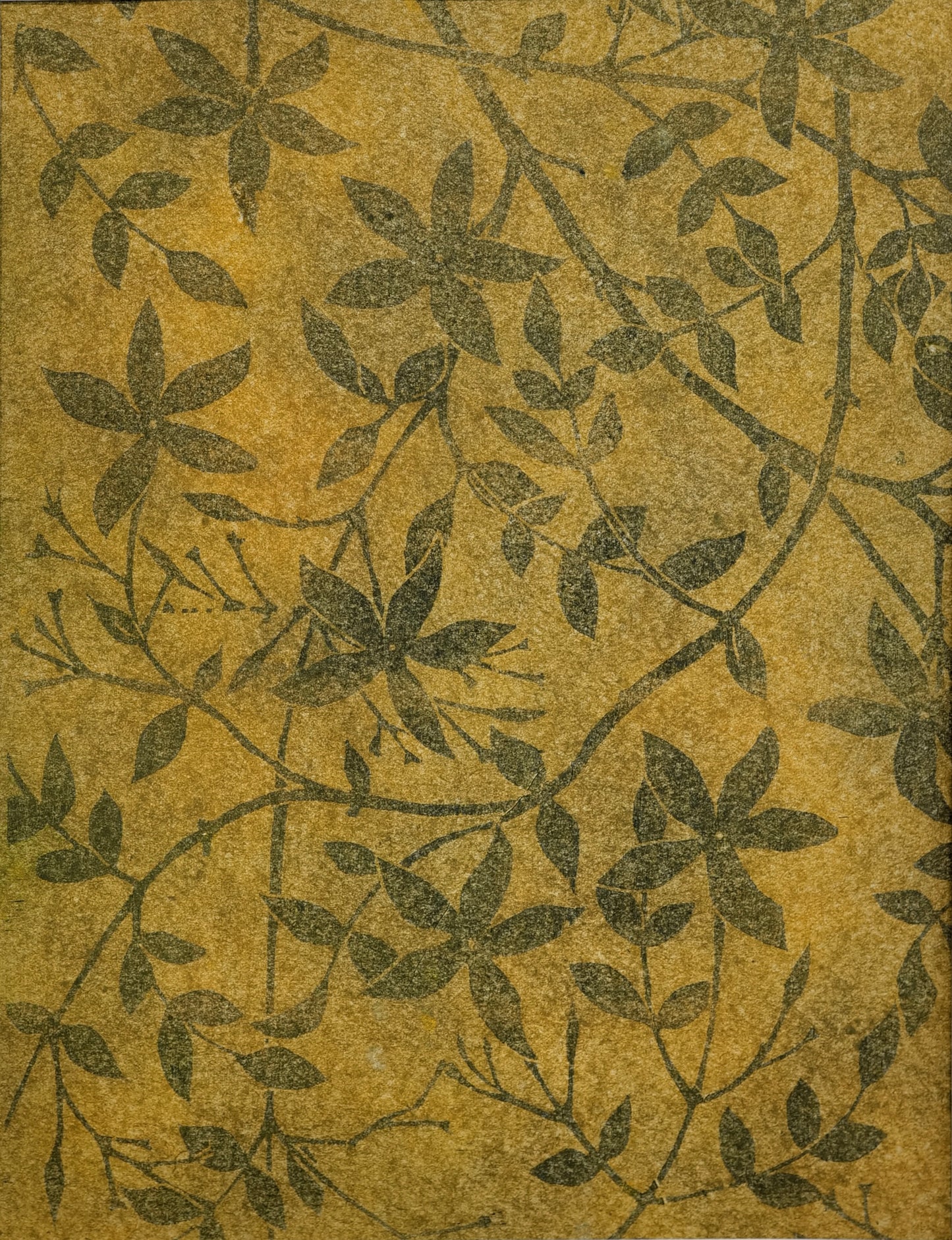 Jasmin 2015