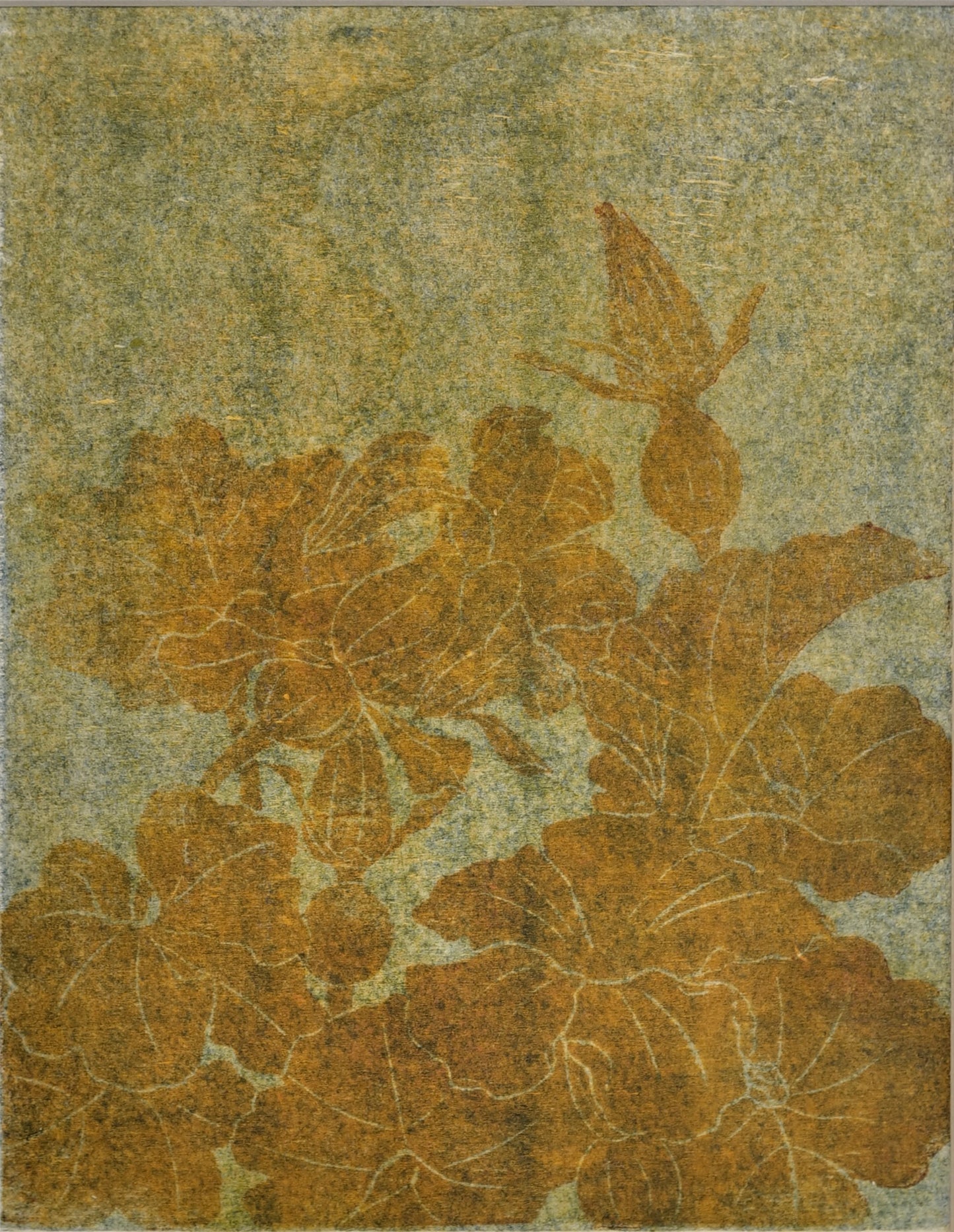 Fleurs de courge