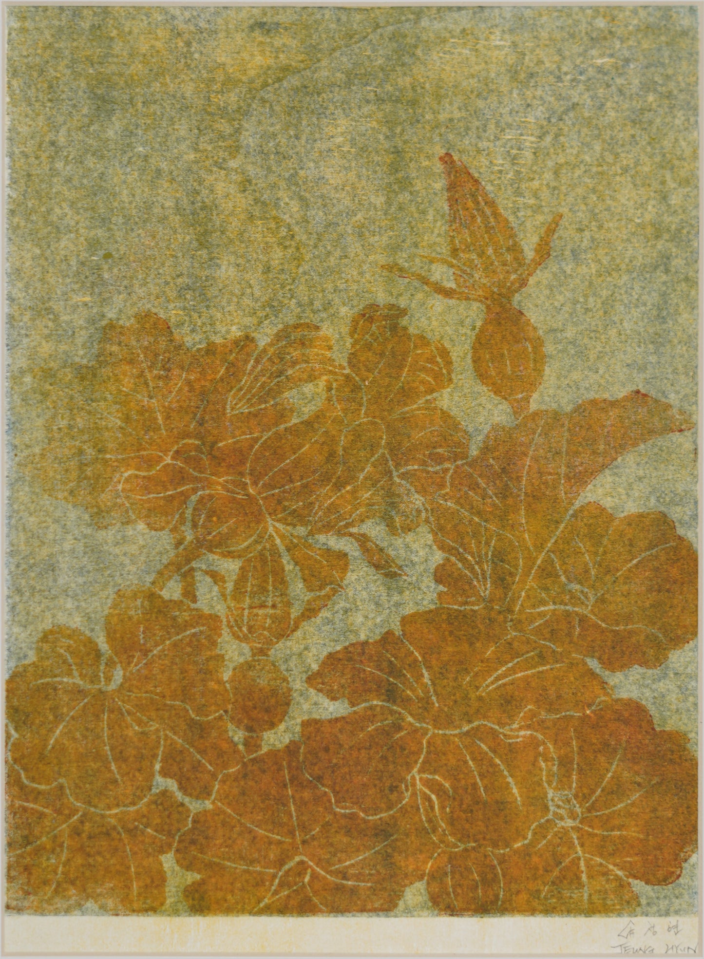 Fleurs de courge 2022