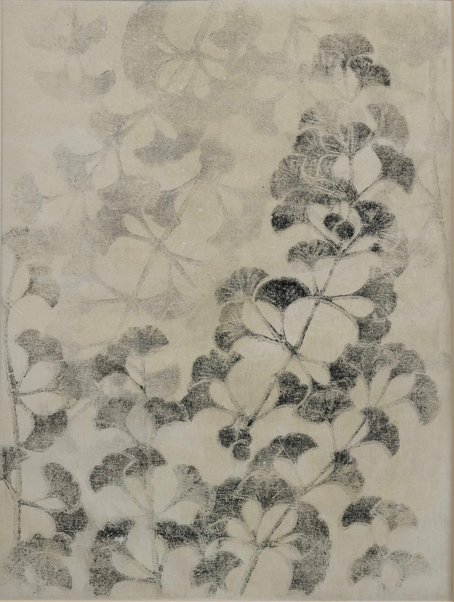 Gingko 2015